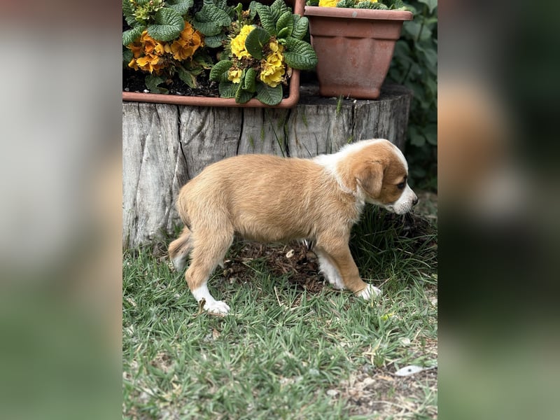 Olivi sucht ihre allererste Familie