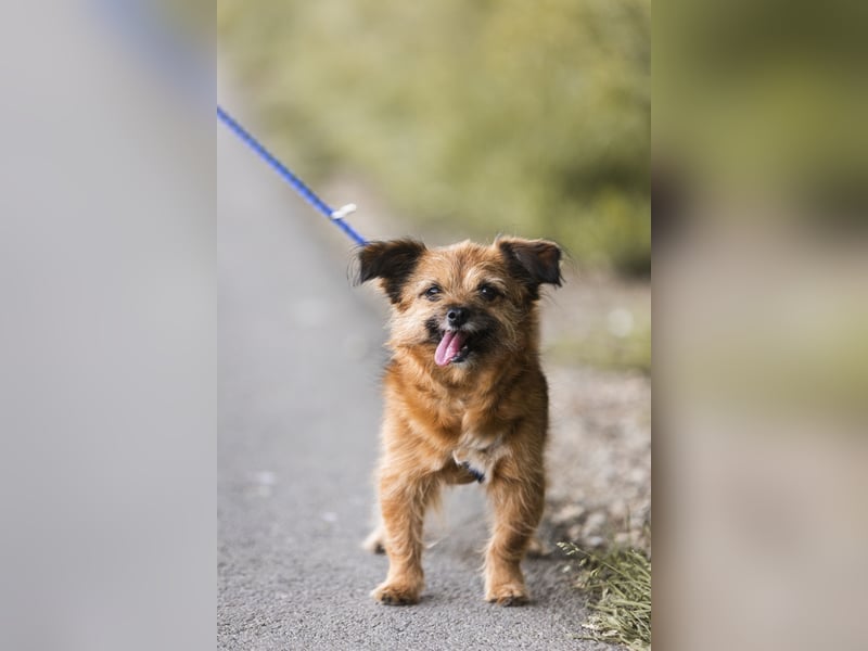 Menschenbezogene Senioren Pixie wartet in 49324 Melle auf dich!