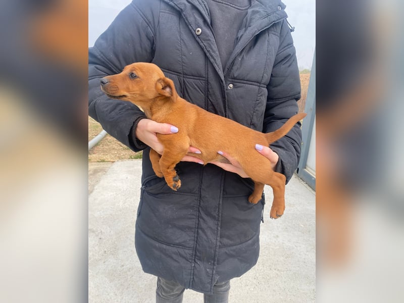 Elli möchte Kuscheln