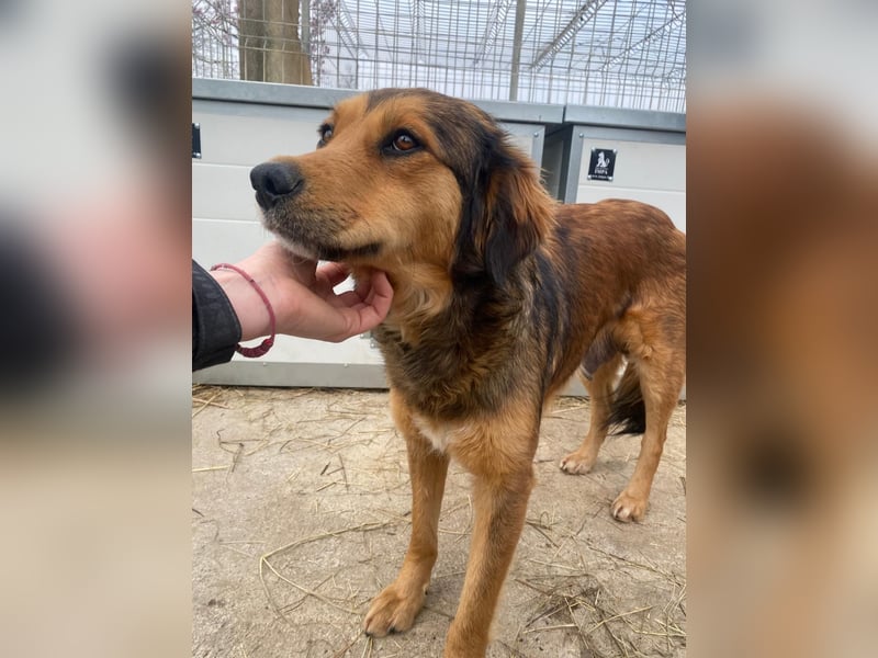 Fila zaubert dir ein Lächeln ins Gesicht