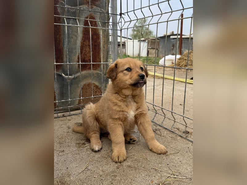 Flora wartet auf einen Neuanfang
