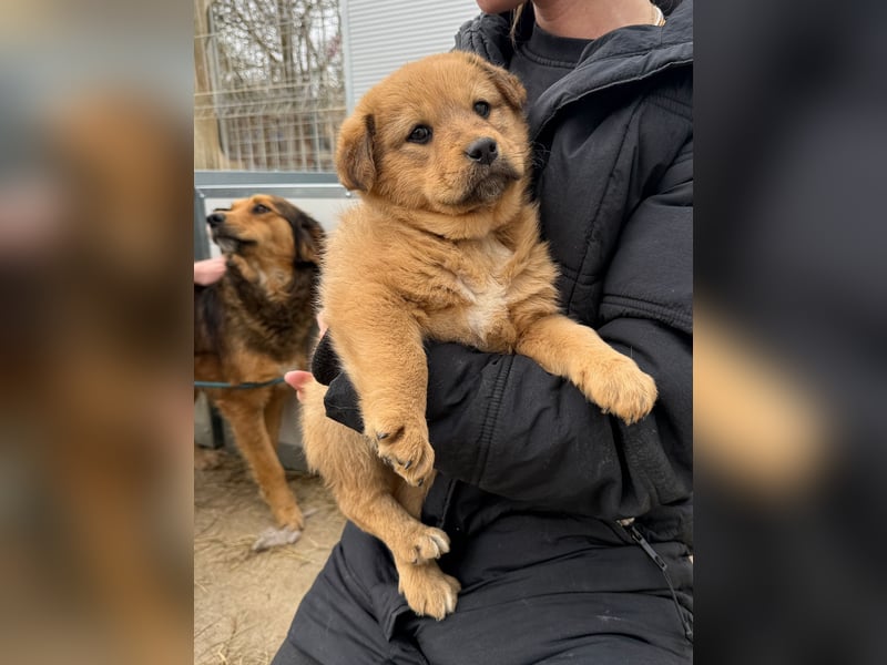 Flora schenkt dir ihr Herz