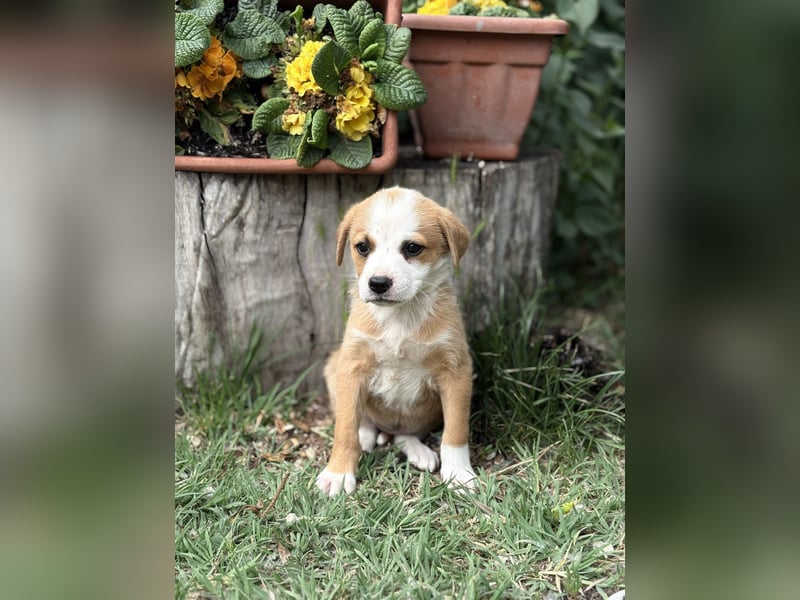 Olivi sucht ihre allererste Familie