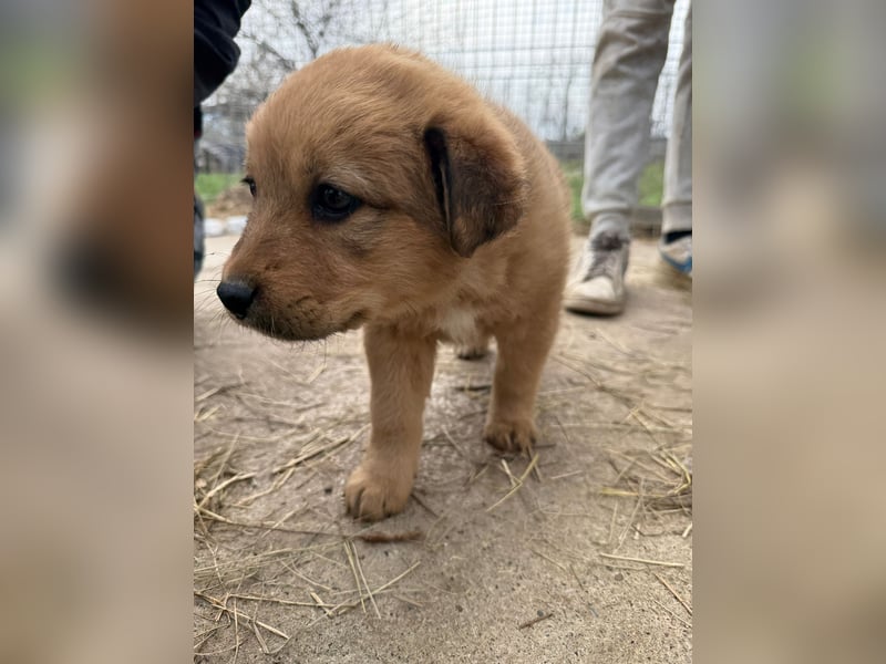 Flora wartet auf einen Neuanfang