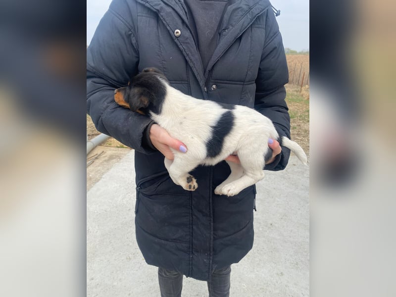 Eliza wartet auf ihr großes Glück