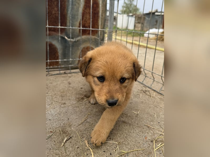 Flora wartet auf einen Neuanfang