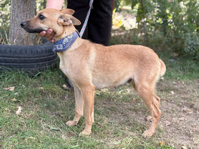 Winnie - möchte dich kennenlernen!