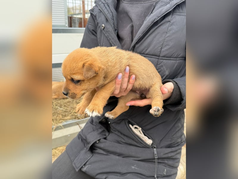 Fila zaubert dir ein Lächeln ins Gesicht