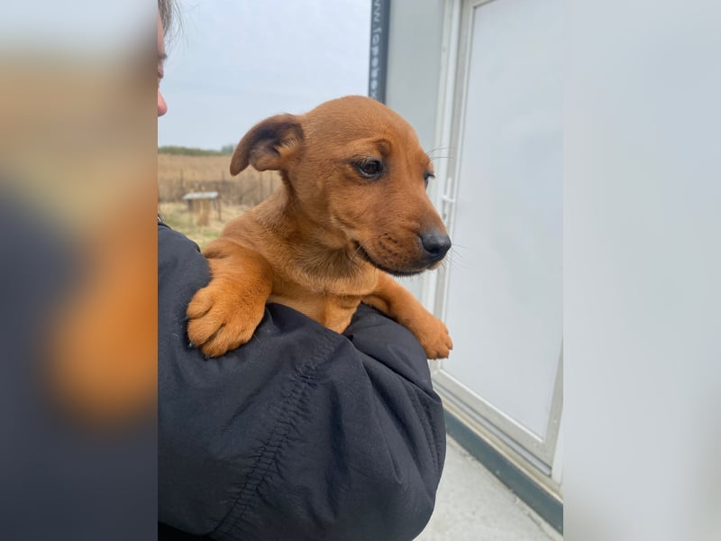 Elli möchte Kuscheln