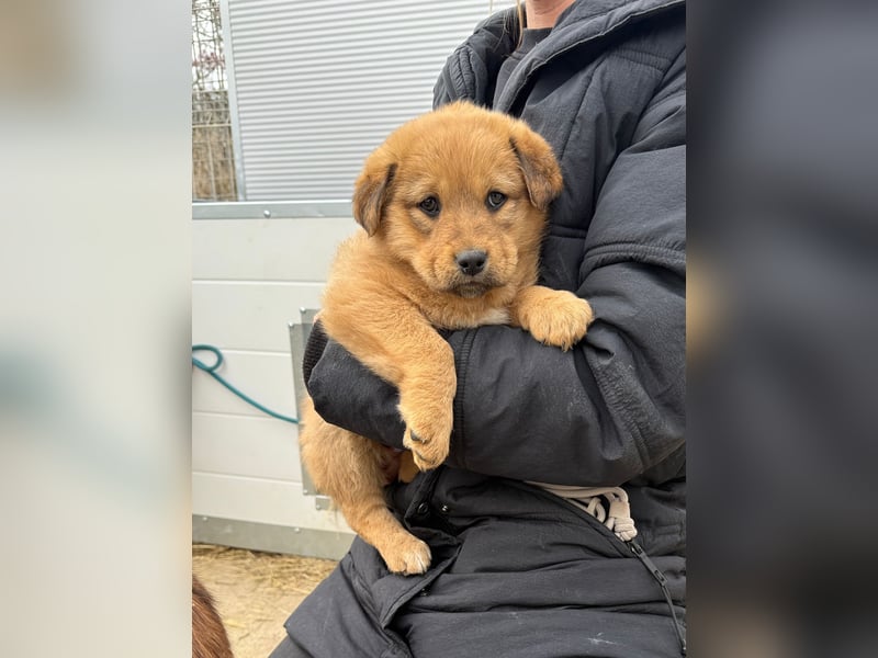 Flora wartet auf einen Neuanfang