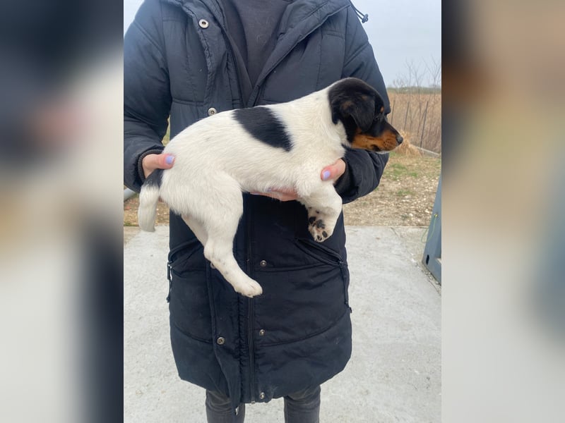 Eliza wartet auf ihr großes Glück
