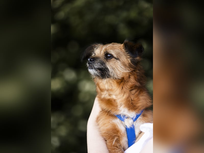 Menschenbezogene Senioren Pixie wartet in 49324 Melle auf dich!