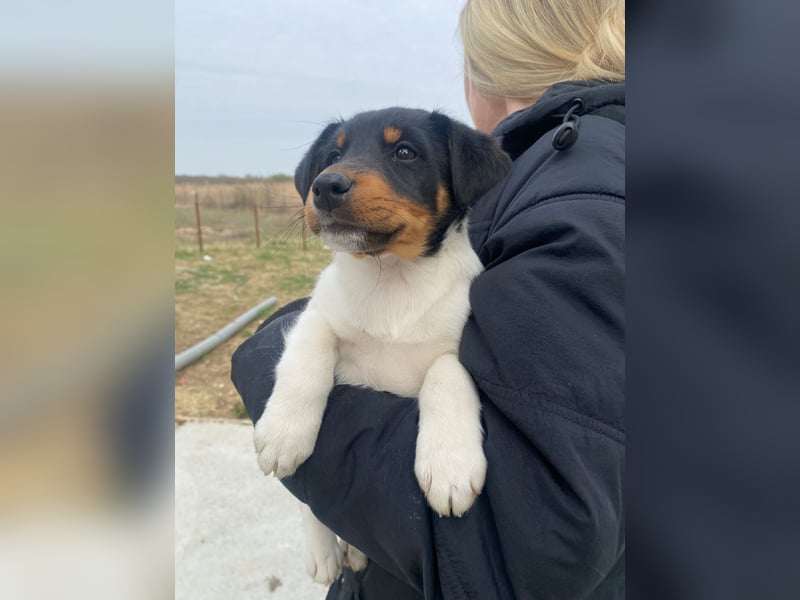 Eliza wartet auf ihr großes Glück