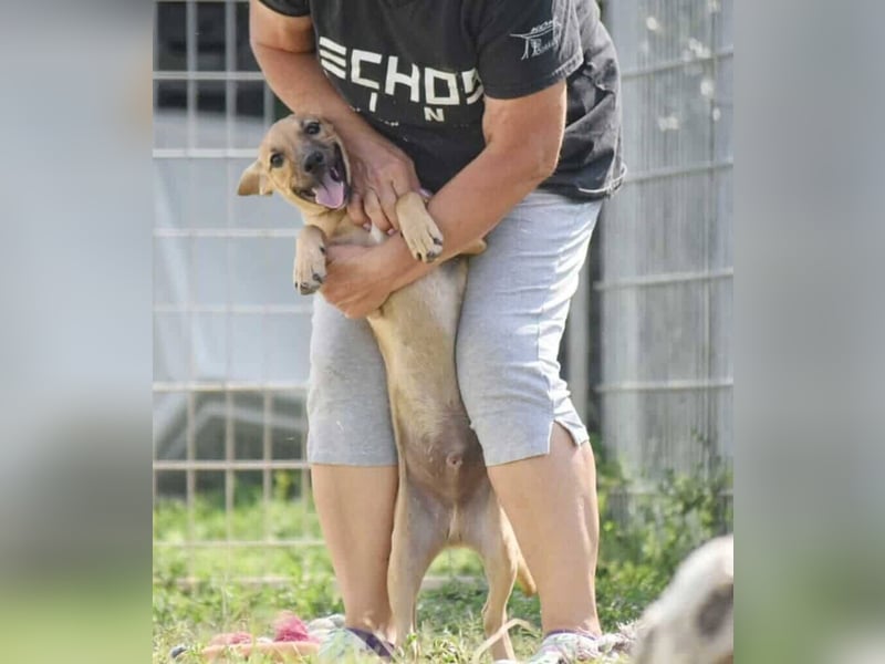 Fura - braucht dringend ein warmes Heim!