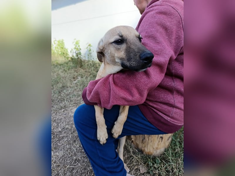 Fura - braucht dringend ein warmes Heim!
