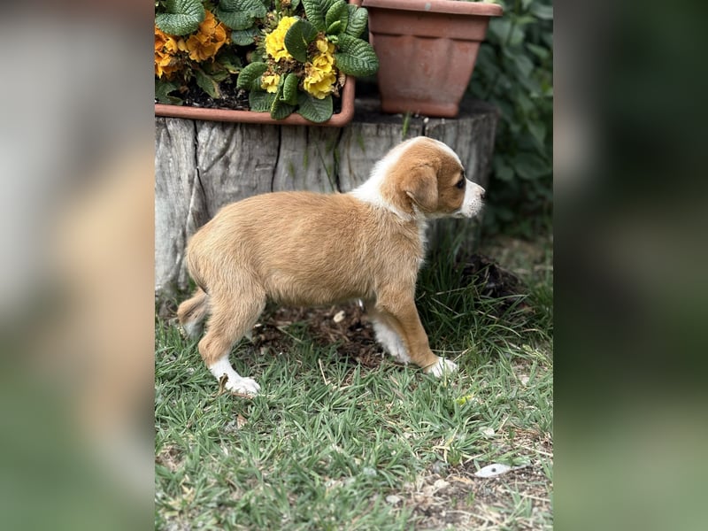 Olivi sucht ihre allererste Familie