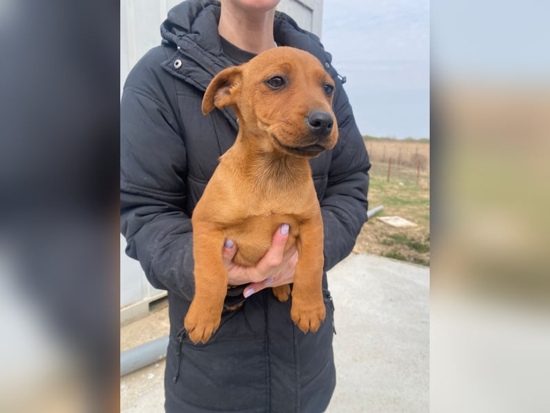 Elli möchte nie mehr allein sein