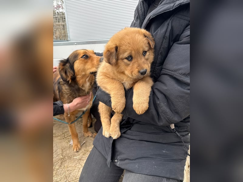 Flora wartet auf einen Neuanfang