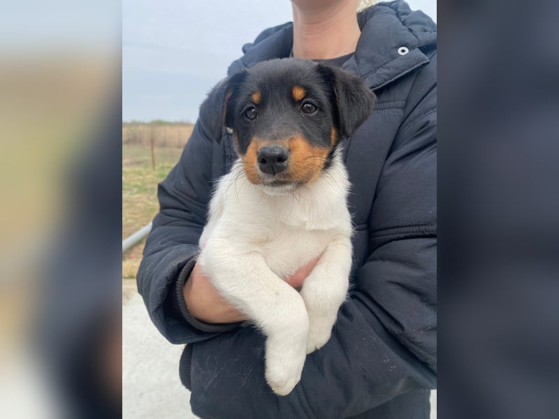 Eliza ist bereit für dich