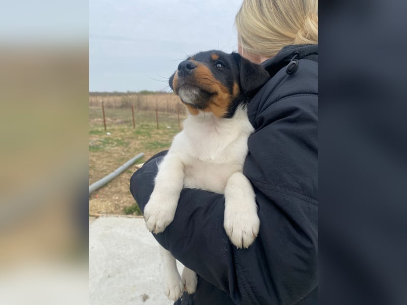 Eliza wartet auf ihr großes Glück
