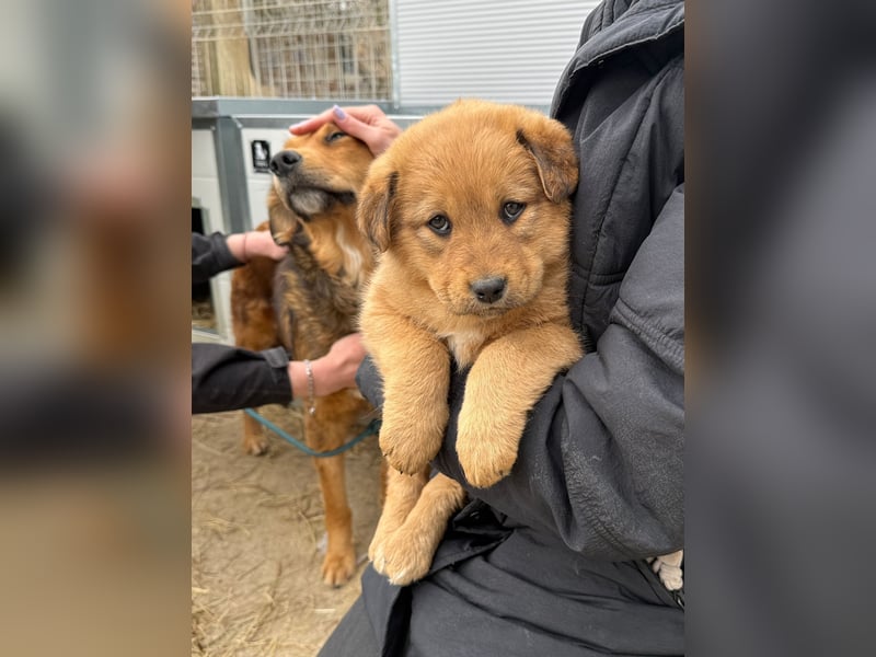 Flora wartet auf einen Neuanfang