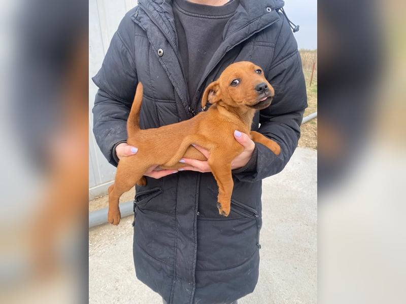 Elli möchte Kuscheln