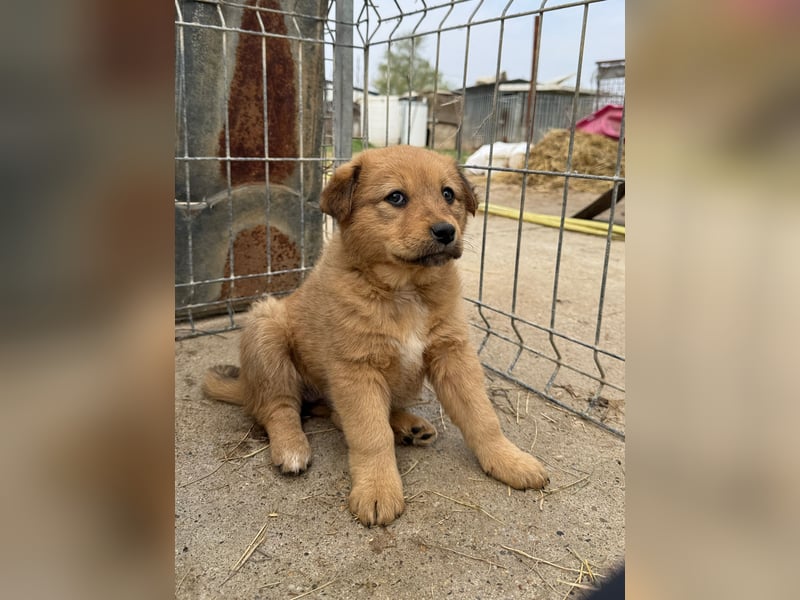 Flora wartet auf einen Neuanfang