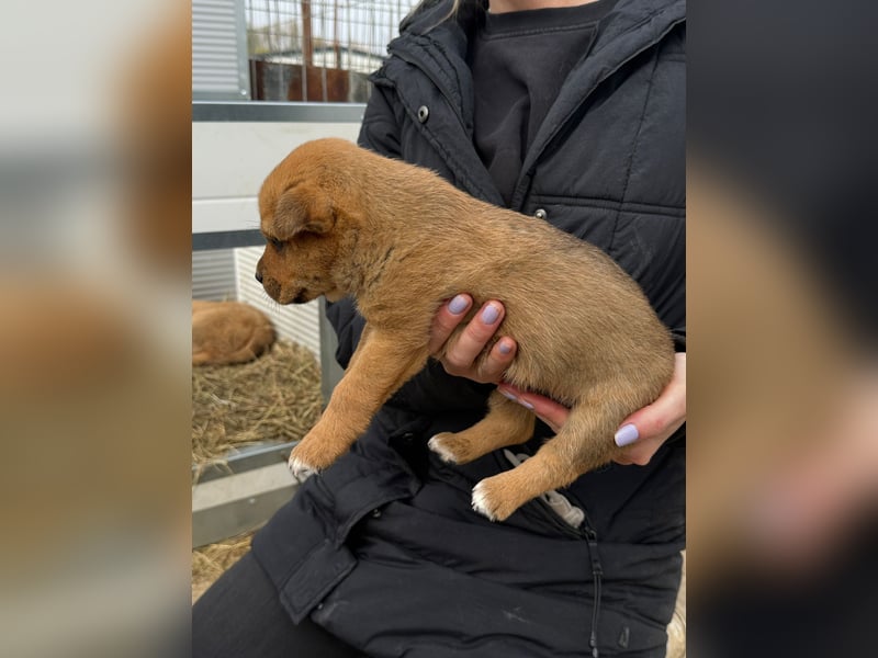Fila zaubert dir ein Lächeln ins Gesicht