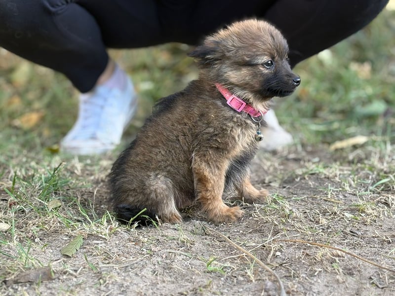 Winnie - möchte dich kennenlernen!