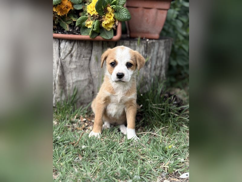 Olivi sucht ihre allererste Familie