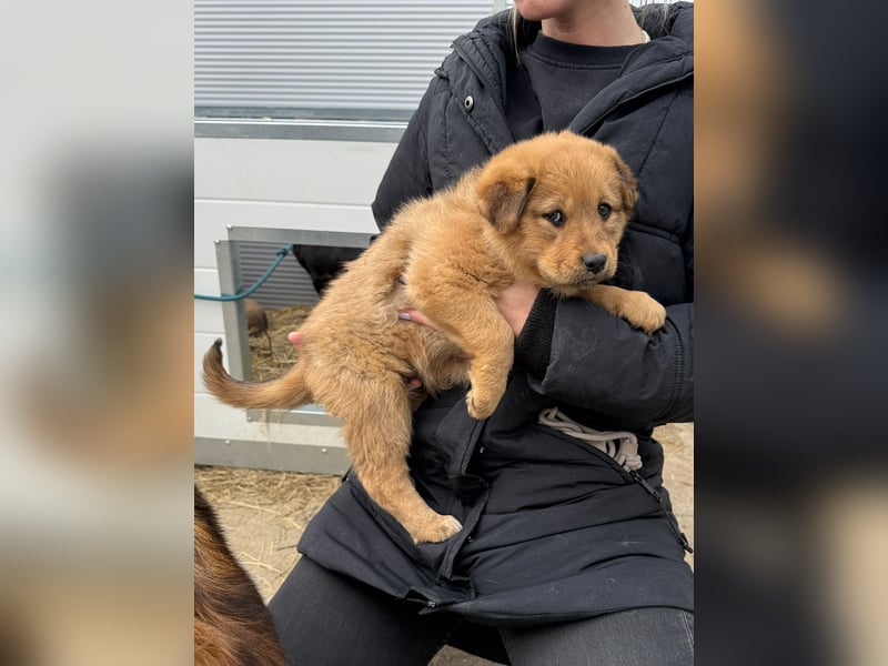 Flora wartet auf einen Neuanfang