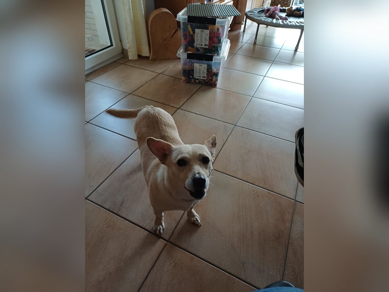 NISA sucht ein neues Zuhause