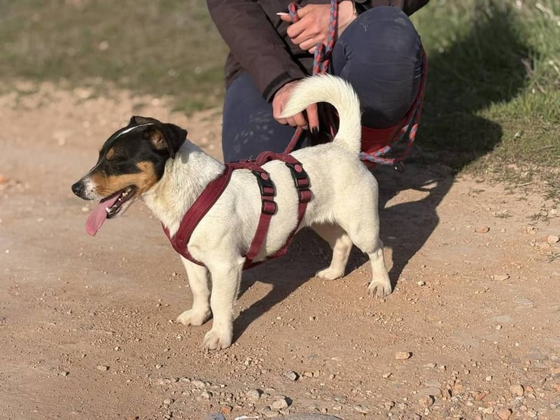 Kleine Elsa sucht ein kleines Körbchen