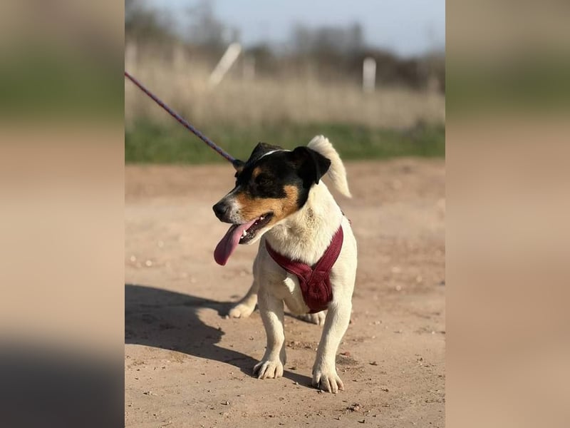 Kleine Elsa sucht ein kleines Körbchen