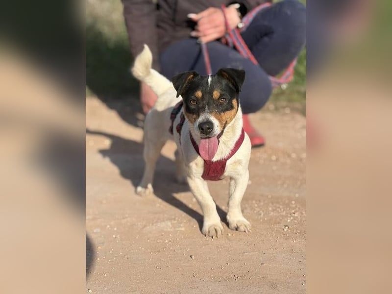 Kleine Elsa sucht ein kleines Körbchen