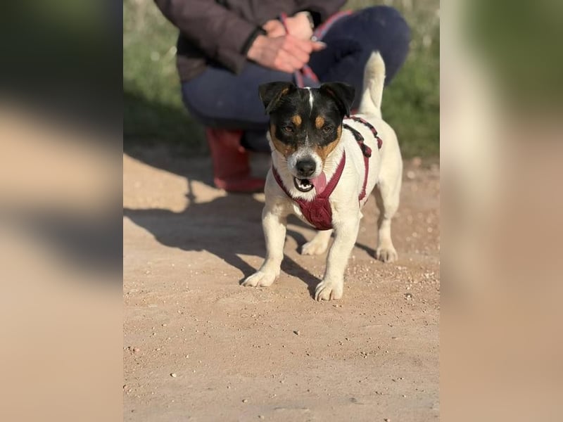 Kleine Elsa sucht ein kleines Körbchen