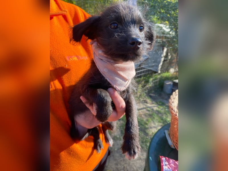 Yara LM – Kleine Entdeckerin sucht ihr Glück Yara LM – Kleine Entdeckerin sucht ihr Glück