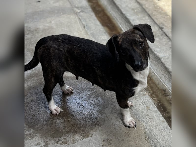 ELINE - WARTET AUF IHR GLÜCK