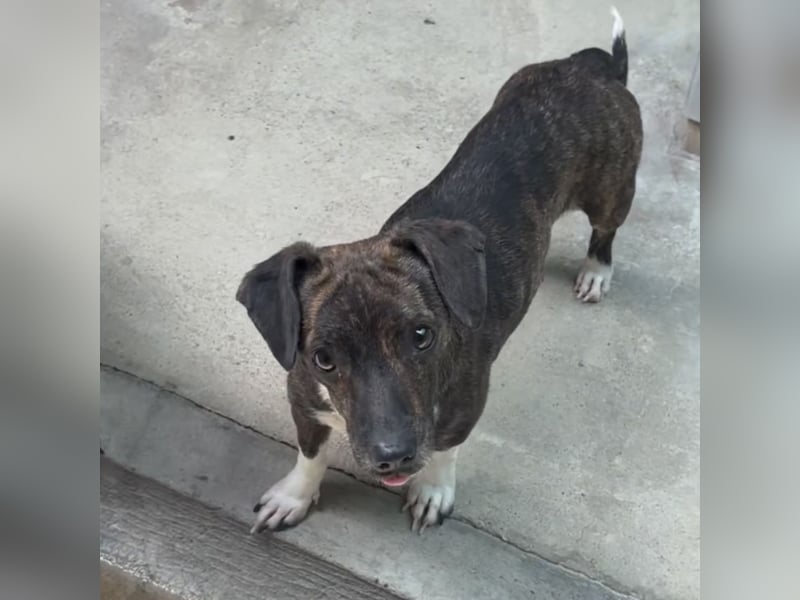 ELINE - WARTET AUF IHR GLÜCK