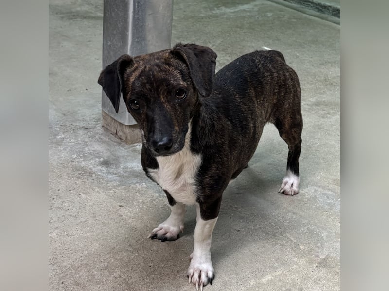 ELINE - WARTET AUF IHR GLÜCK