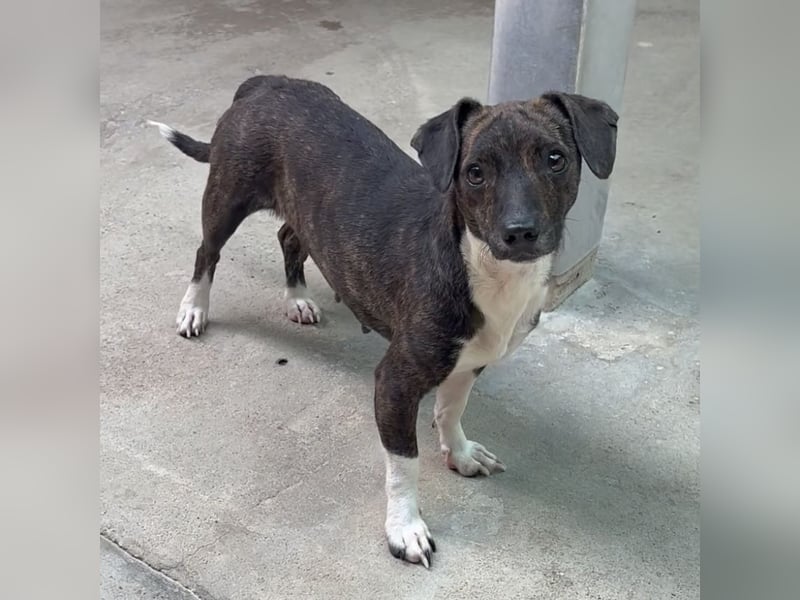 ELINE - WARTET AUF IHR GLÜCK