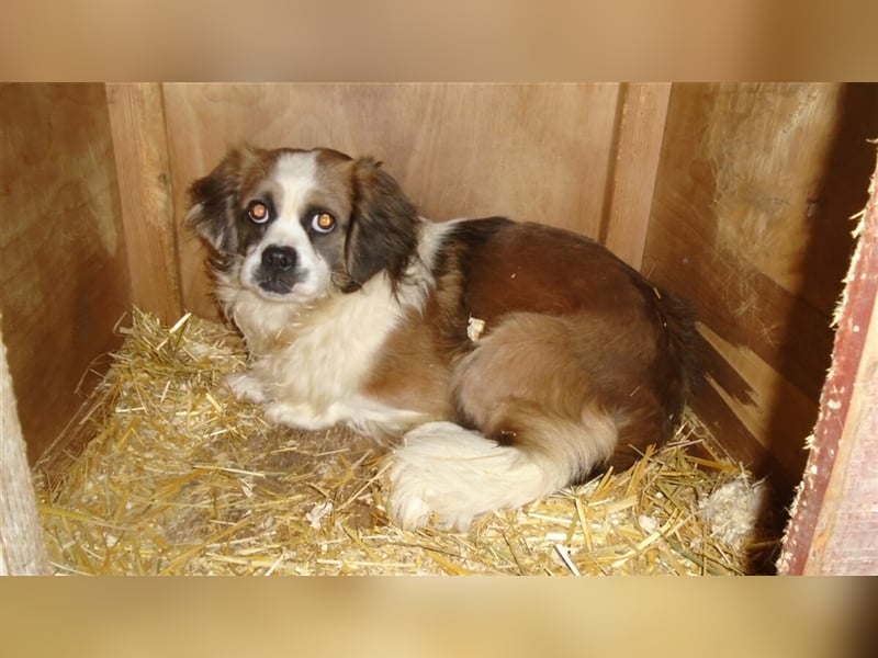 VALENTINO SUCHT GEDULDIGE MENSCHEN