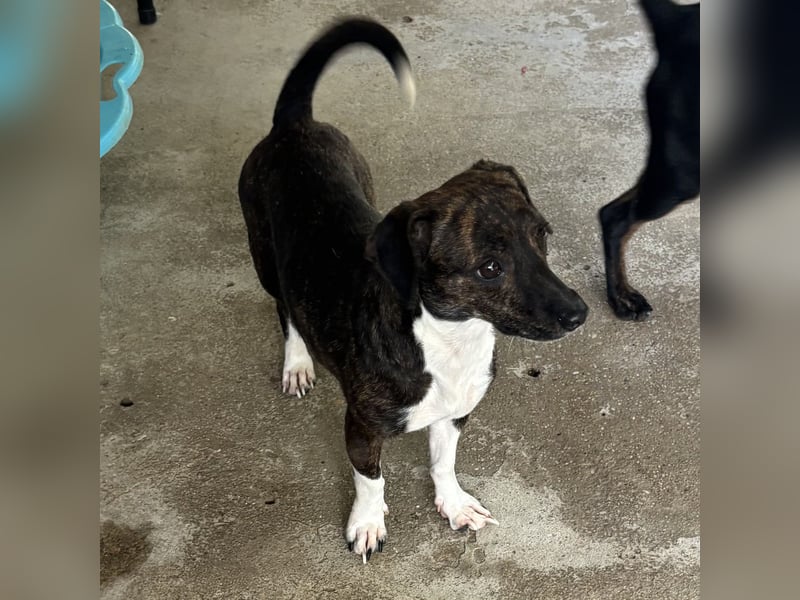 ELINE - WARTET AUF IHR GLÜCK