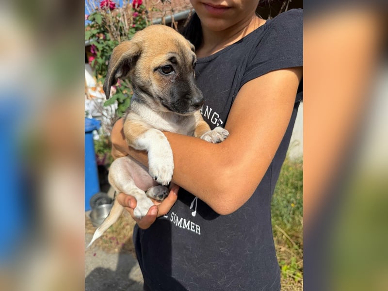 Lea, geboren 05.07.2026, 20cm sucht ihre Chance
