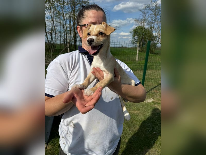 Zserbo, geboren 01.01.2026, 24cm sucht ihr Glück