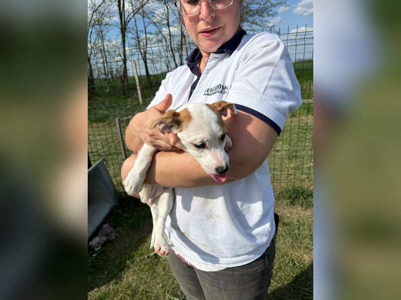 Zorka, geboren 01.01.2026, 25cm sucht ihr Glück