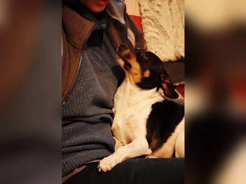 Pamina- klein und zuckersüß