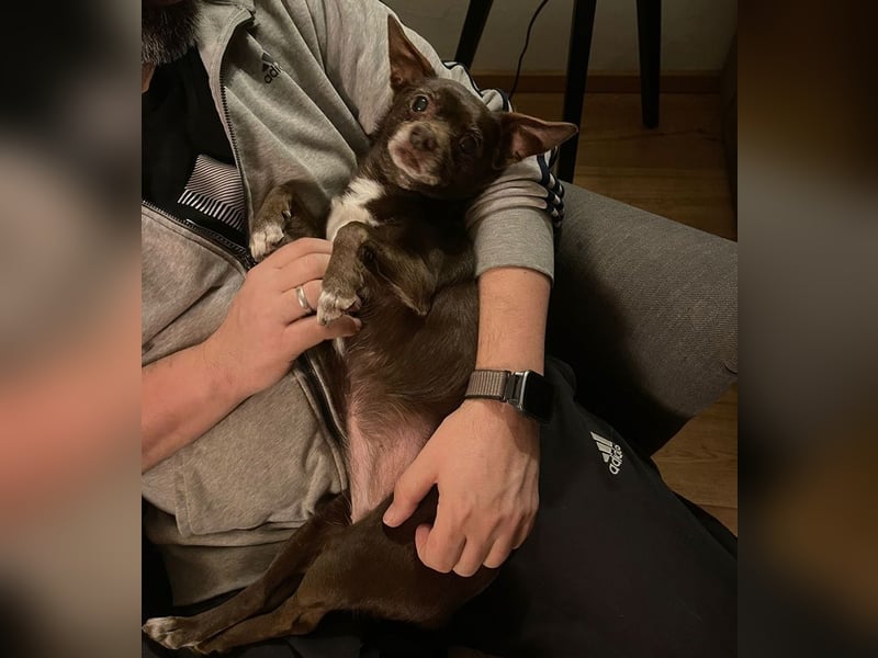 Zoe / Willow ist sanft und freundlich