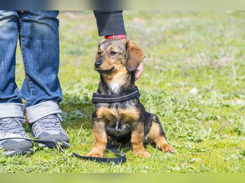 Szörpi SI - frech, aktiv