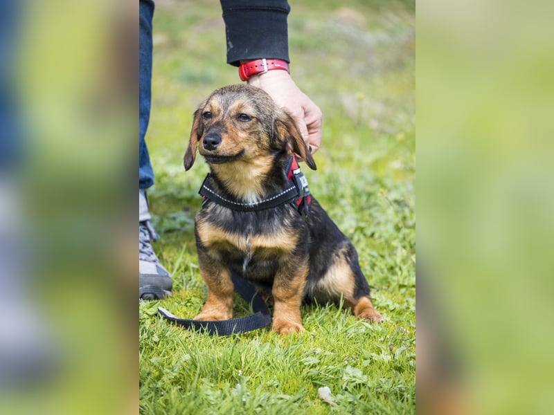 Szörpi SI - frech, aktiv